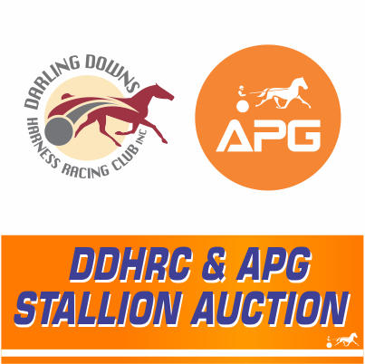 Stallion Service Auction