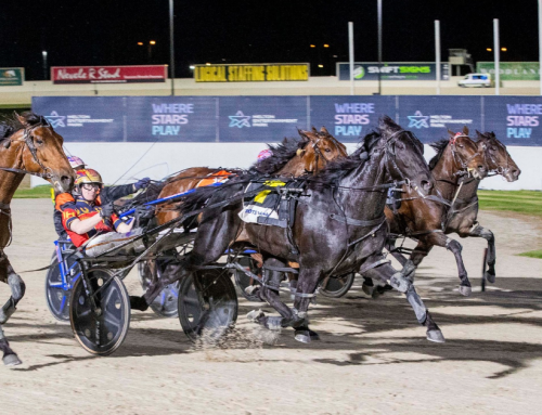 Sydney Sale Graduate Explodes in Victoria Derby